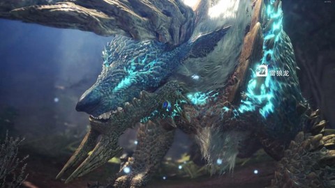 怪物猎人开场什么怪物