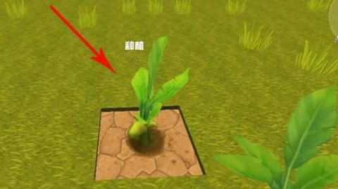 迷你世界耕地是什么土[图2]
