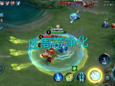 王者荣耀净化怎么用好