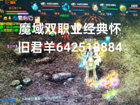 魔域夫妻任务怎么做[图1]