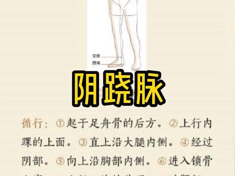 九阴真经阳跷脉怎么开[图1]