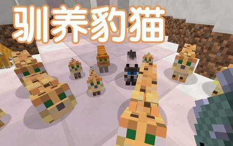 我的世界豹猫有什么用[图1]