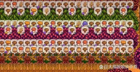 星露谷物语秋季干什么