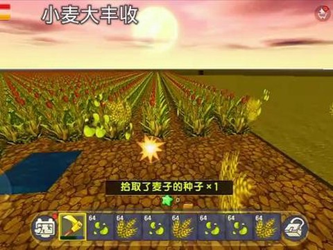 迷你世界小麦怎么收割[图1]